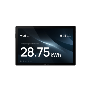 EcoFlow PowerInsight 2